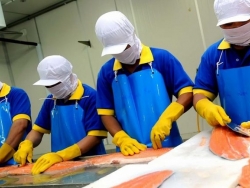 5 миллионов. Лев инвестиции в завод по переработке лосося
