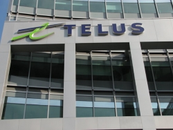 TELUS International Europe нашли новые рабочие места