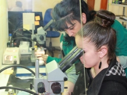 "Optics" opens 30 new jobs in Strelcha