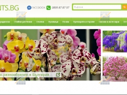 KPD.BG - Плантс бг