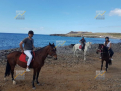 KPD.BG - Entertainment complex with horse base and own radio