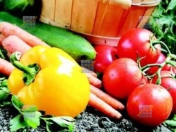 KPD.BG - A developed agricultural business and 320 acres of own land are for sale.