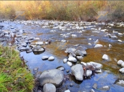 KPD.BG - Разработен бизнес за бутилиране на трапезна вода