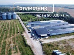 KPD.BG - Парцел с фотоэлектрической станцией (ФЭС), Упаковочный цех, Силосная база и Складская база