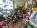 KPD.BG - Отдава се магазин за цветя и подаръци - Цветен кът Азалея