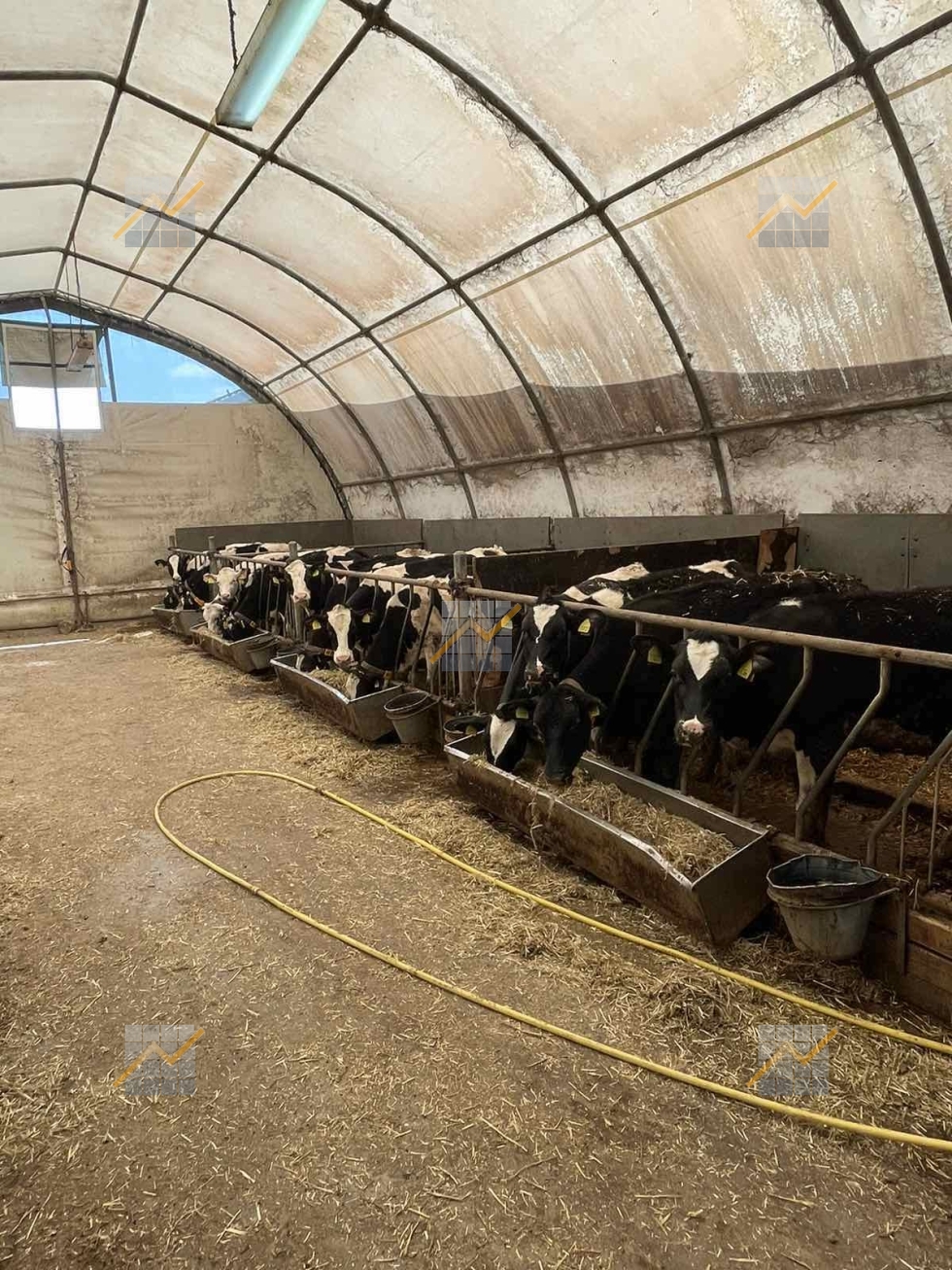 KPD.BG - The leading milk farm in Southeast Bulgaria is for sale