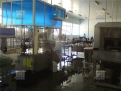 KPD.BG - Mineral Water Company for Sale