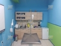 KPD.BG - I am looking for funding to build a Veterinary clinic in Greece. 