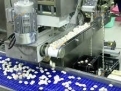 KPD.BG - Завод с годовым объемом продукции 600-800 т. по производству замороженных полуфабрикатов, изделий из теста  и десертов